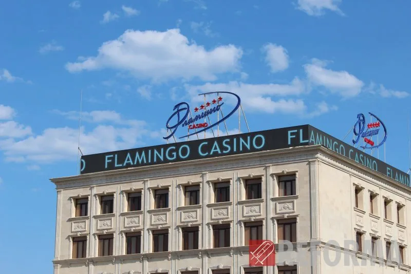 Угловой экран для казино «Фламинго»
